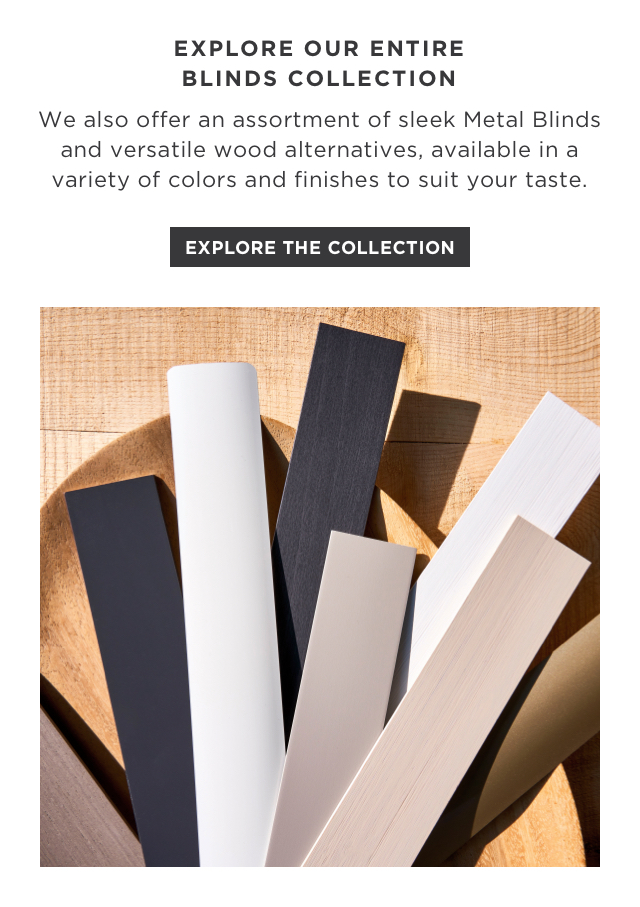 Explore The Collection
