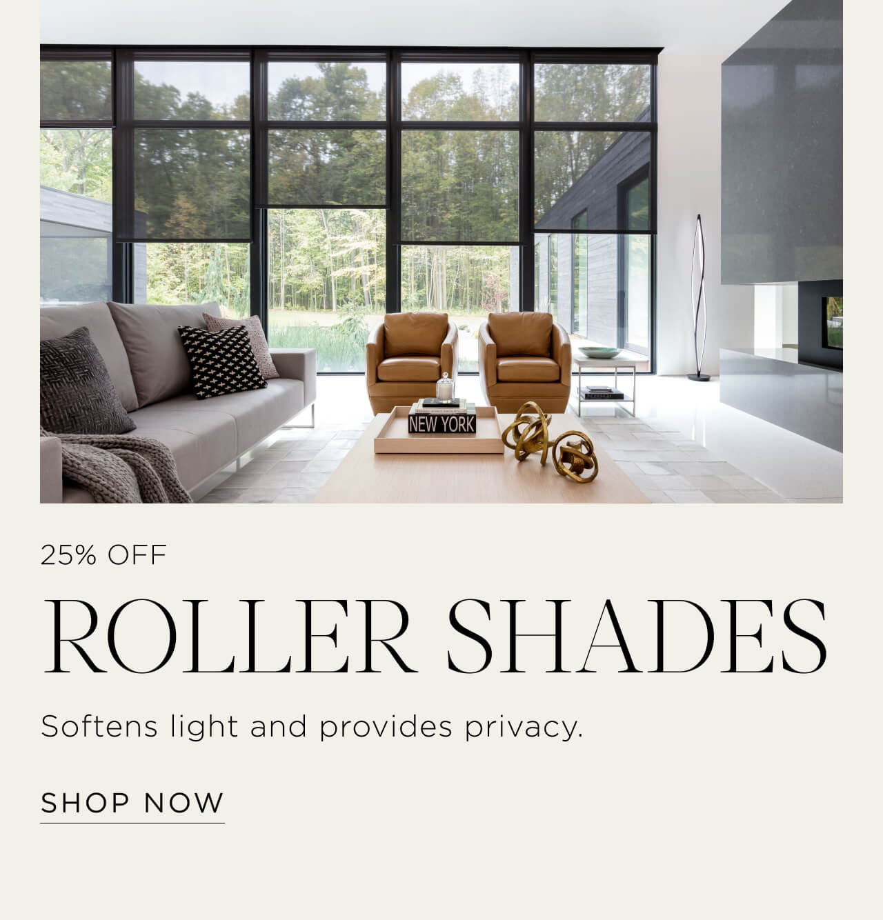 Shop Roller Shades