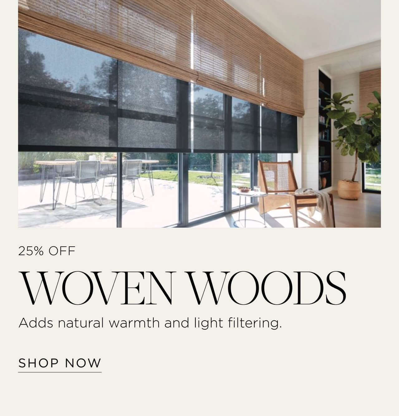 Shop Woven Wood Shades