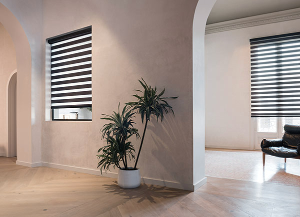 roller shades for the living room roller shades for the living room