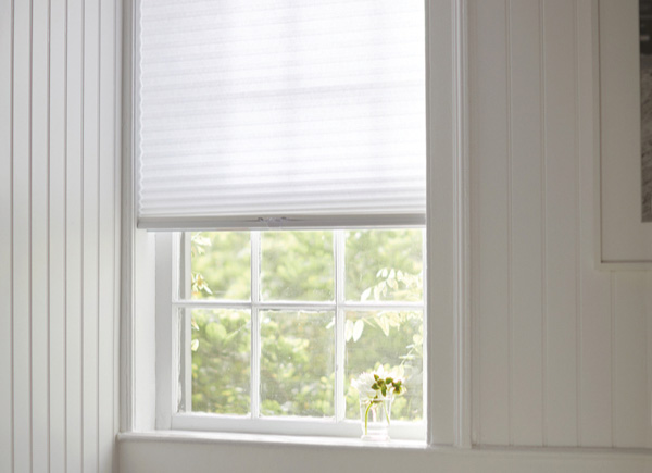 A window featuring a pleated cellular shade in 3/4 inch Single Cell LF and color Lace with a plant on the window sill