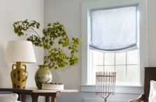 A window featuring relaxed roman shades in windsor stripe vista in a living room with a large plant on a small table