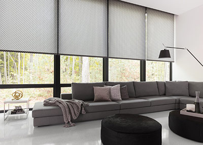 Roller Shades | Nate Berkus | Raffi | Onyx