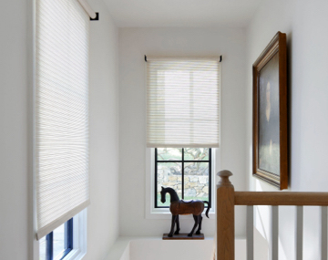 Venetian Roller Shades hung over black framed window over stairs with a wooden railing and brown horse statue