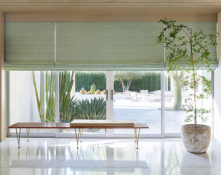 A living room with a potted tree and windows with sage green Roman Shades.